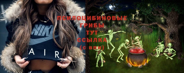 ПСИЛОЦИБИНОВЫЕ ГРИБЫ Баксан