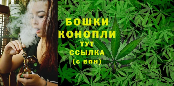 ПСИЛОЦИБИНОВЫЕ ГРИБЫ Баксан